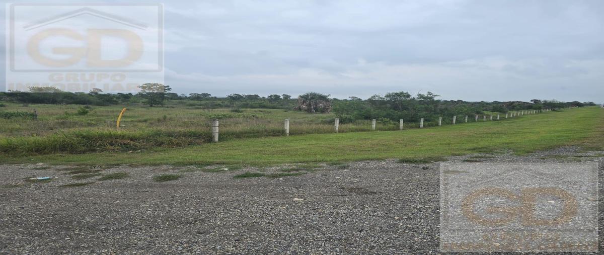 Foto de terreno habitacional en venta en  , gonzález [ejido], gonzález, tamaulipas, 0 No. 04